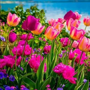 Meet your Posher, Maria